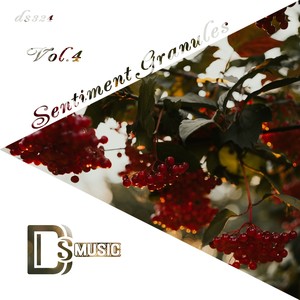 Darkes Days (Max Denoise Remix)