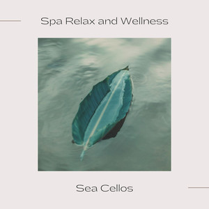 Spa Relax and Wellness (Stress relief Meditation)