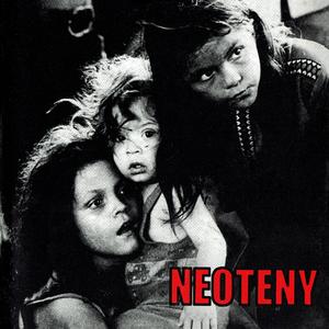 What Does It Mean? (Neoteny Mix)