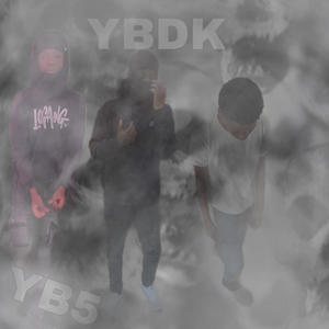 YB5œ (feat. 1luhkp) (Radio Edit|Explicit)
