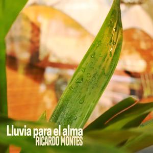 Lluvia Para El Alma