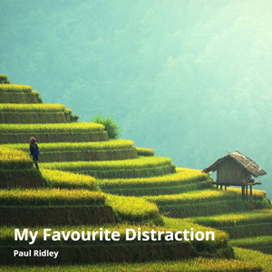 My Favourite Distraction