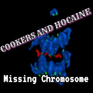 Missing Chromosone (Explicit)