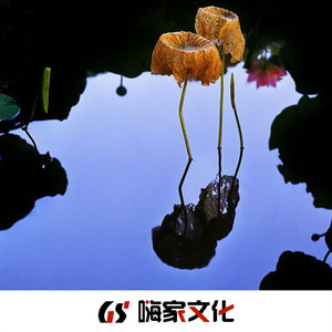 移情别恋 (Remix)