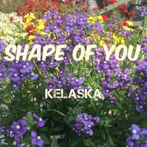 Shape of You