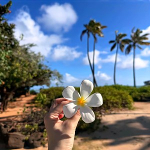 DJ哪吒 - 孤寂绝尘