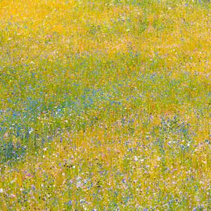 설레나봄 (Feat. 은별)(Exciting Spring)