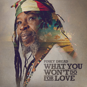 What You Won't Do For Love