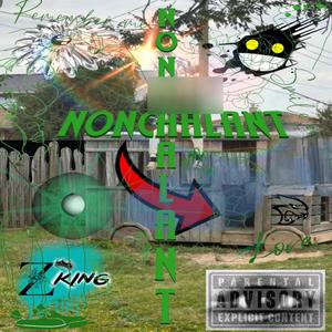 EXTRAR0UNDZ (feat. 800GetGuap) (Explicit)