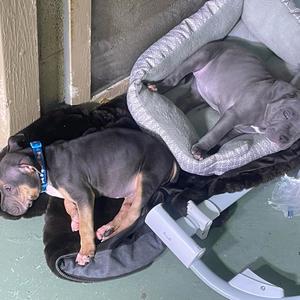 Off The Hook (Explicit)