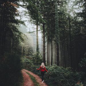 ASMR Fan and Air Conditioner Loopable Sound Sleep