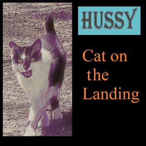 Cat on the Landing