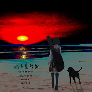 追流星的狗
