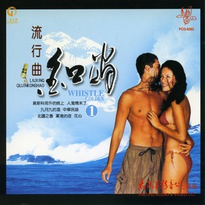 莫斯科郊外的晚上