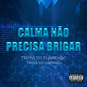 CALMA NAO PRECISA BRIGAR PRO FLAMENGO TU SENTA COM A TCHECA (Explicit)