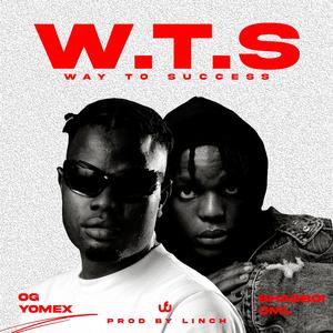 W.T.S (feat. BhadBoi OML)