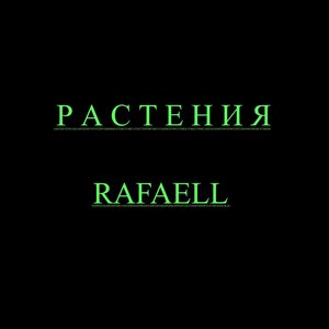 Растения