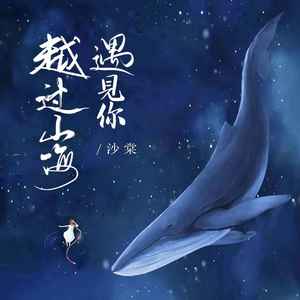 越过山海遇见你