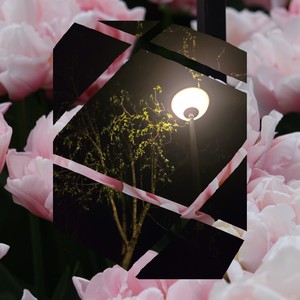 Plus Size Clothing (Explicit)