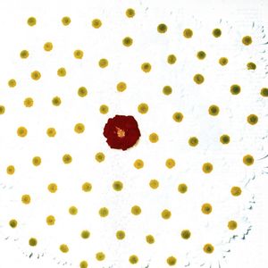 The Dream Academy - Humdrum