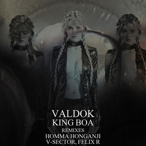 The Power Of The Tao (Homma Honganji Remix)