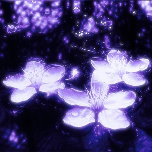 Dimension (Explicit)