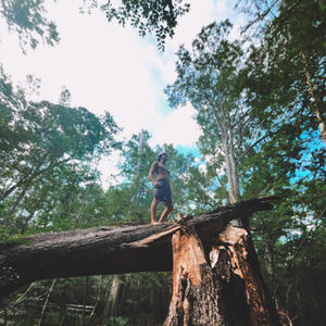 The End (feat. prod.shxrkz) (Explicit)