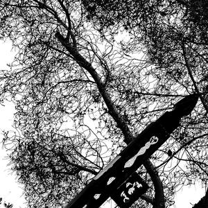 i place the sky within your eyes