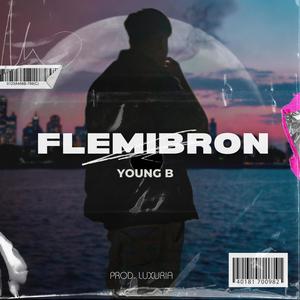 Flemibron (Explicit)