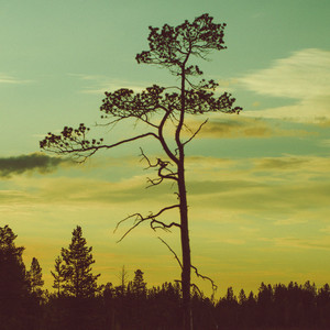 Postales del fin del mundo