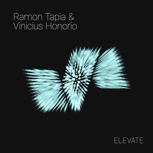 Into the Light (Original Mix)