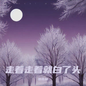走着走着就白了头 (伴奏)