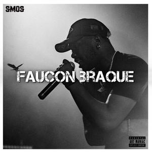 Faucon braque (Explicit)