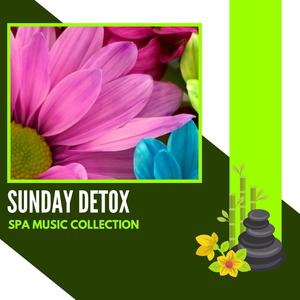 Sunday Detox - Spa Music Collection