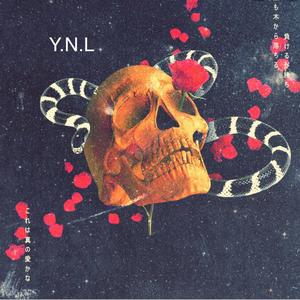 Y.N.L (Explicit)