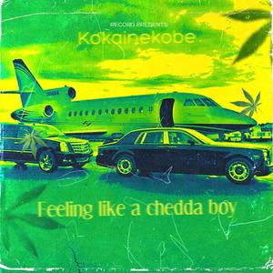 feeling like a chedda boy (Explicit)