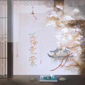 不悔霓裳