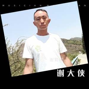 周大侠