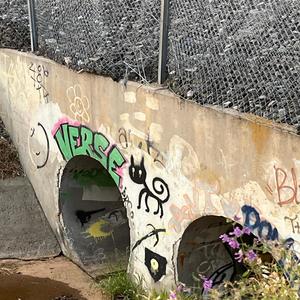 Murder Business (feat. Rosey!) (Explicit)