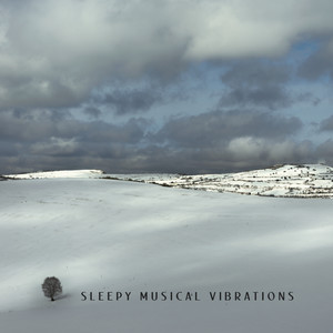 Sleepy Musical Vibrations - Collection of Deeply Relaxing Melodies for a Better Sleep Quality, Have a Nice Dream, Calming Hands & Creams, Stress Free