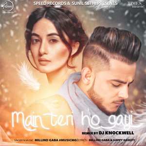 Main Teri Ho Gayi (Remix) - Single