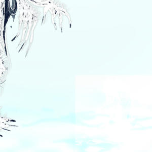 yohji (feat. bandeja) (Explicit)