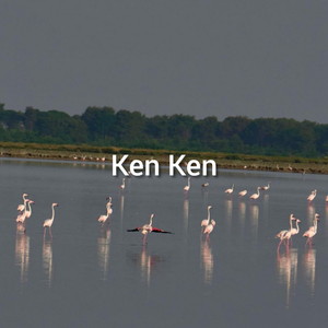 Ken Ken (Explicit)