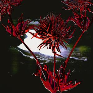 Detrás de un disfraz