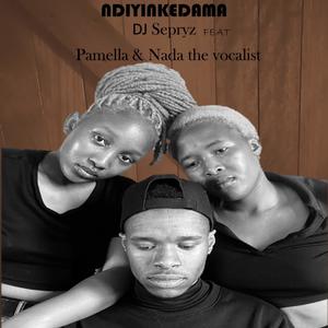 Ndiyinkedama (feat. Pamella & Nada the vocalist)