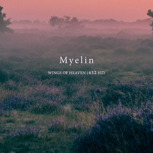 Wings of Heaven (432)