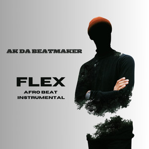 Flex (Afrobeat Instrumental)