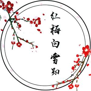 红梅白雪知【古筝/纯筝】