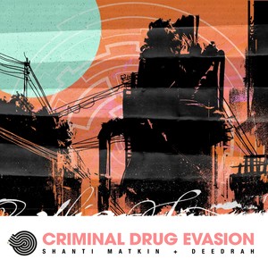 Criminal ** Evasion