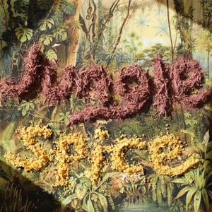 Jungle Spice (feat. Cody Brooks, Bee Taylor, Rachel Stewart & Jason Threm)